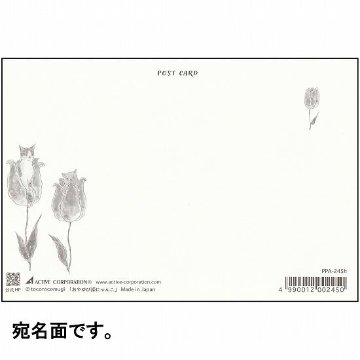 トコロコムギ ポストカード（おやゆび姫にゃんこ）の画像