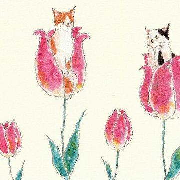 トコロコムギ ポストカード（おやゆび姫にゃんこ）の画像