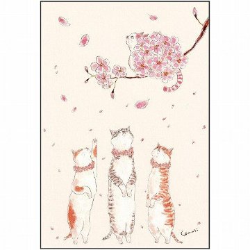 トコロコムギ ポストカード（あなたと桜を）の画像