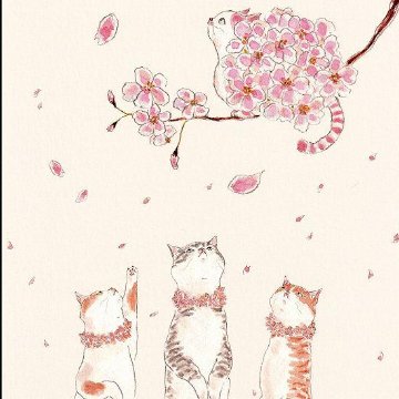 トコロコムギ ポストカード（あなたと桜を）の画像