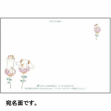 トコロコムギ×サンリオ　ポストカード（シナモロールとクッキーの妖精さんにゃんこ）の画像