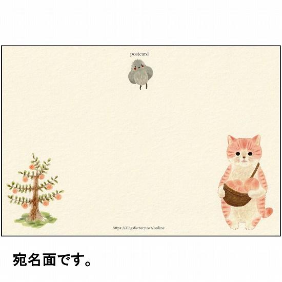 絵本の中のねこ ポストカード（モモトラ）の画像