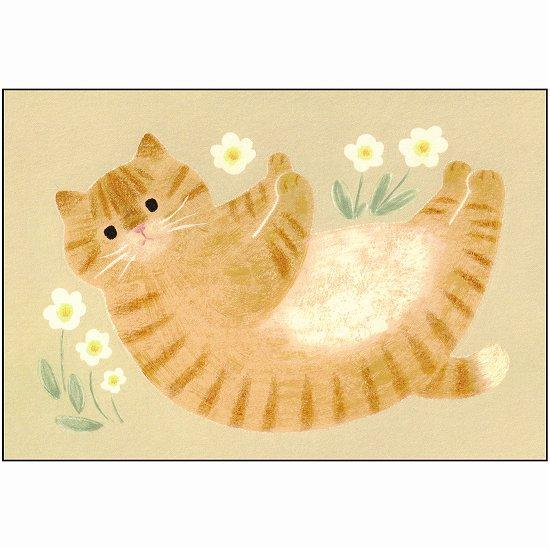 4legs ポストカード（お腹なでて茶トラ猫）の画像