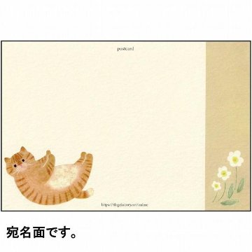4legs ポストカード（お腹なでて茶トラ猫）の画像