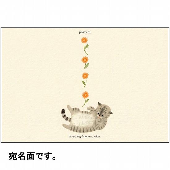 4legs ポストカード（お腹なでてサバトラ猫）の画像