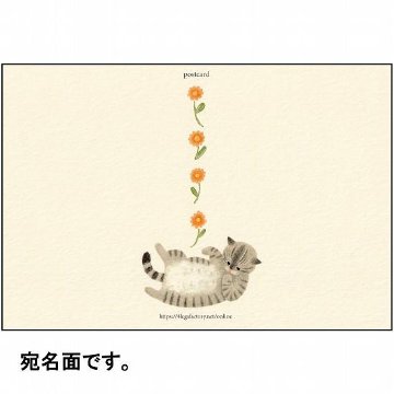 4legs ポストカード（お腹なでてサバトラ猫）の画像