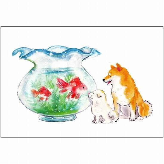 村田なつか ポストカード（しばいぬと金魚）の画像