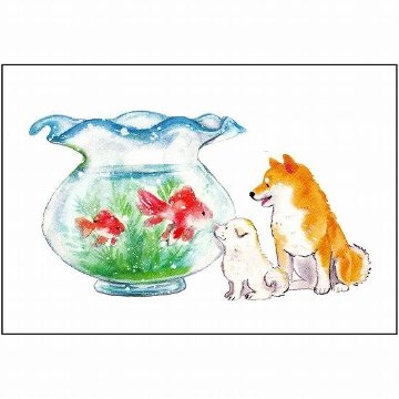 村田なつか ポストカード（しばいぬと金魚）の画像