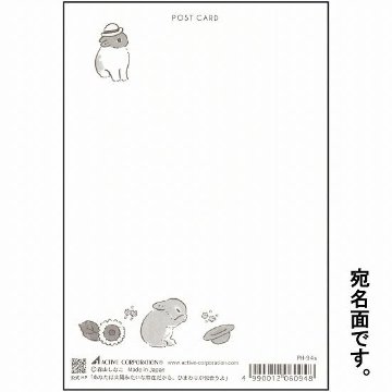 森山標子 ポストカード（あなたは太陽みたいな存在だから、ひまわりが似合うよ）の画像