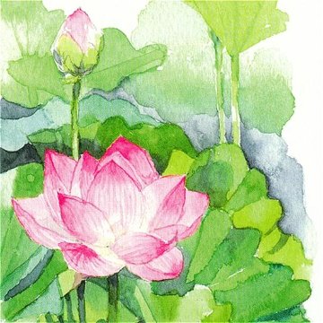 三好貴子 ポストカード（蓮）の画像