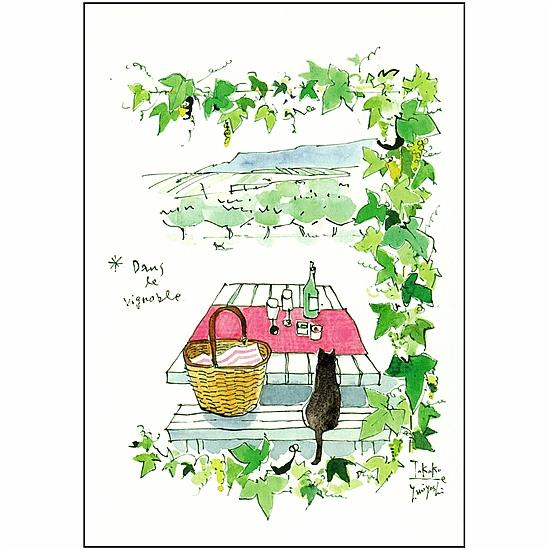 三好貴子 ポストカード（ブドウ畑で）の画像