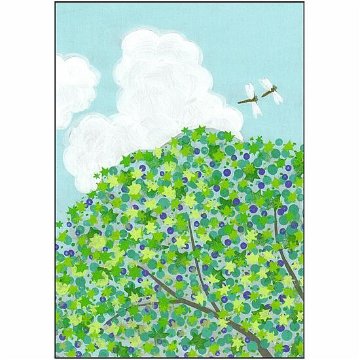 ひらいみも ポストカード（夏の緑：トンボ）の画像