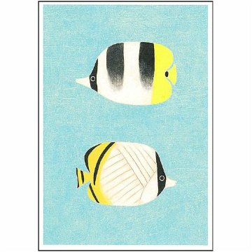 伊藤絵里子 ポストカード（熱帯魚）の画像