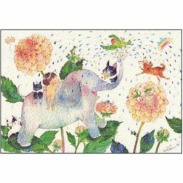 こばやしあや ポストカード（水の恵み/ダリア）の画像