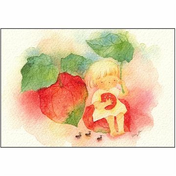 こばやしあや ポストカード（ほおずき・2025年カレンダー8月の絵柄）の画像