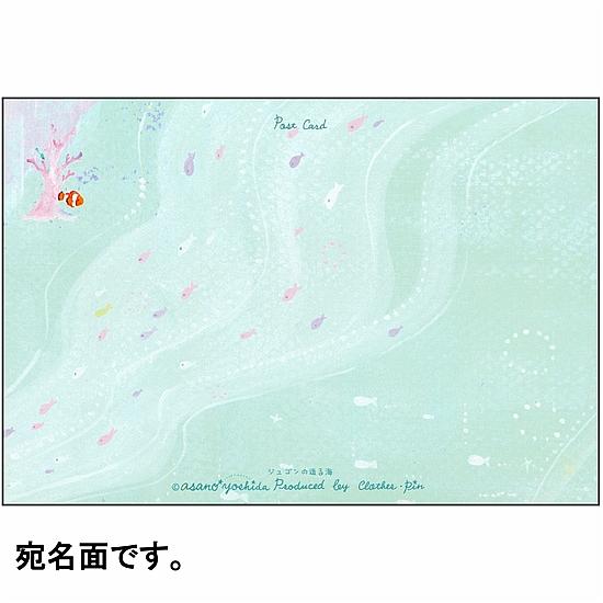 吉田麻乃 ポストカード（ジュゴンの造る海）の画像