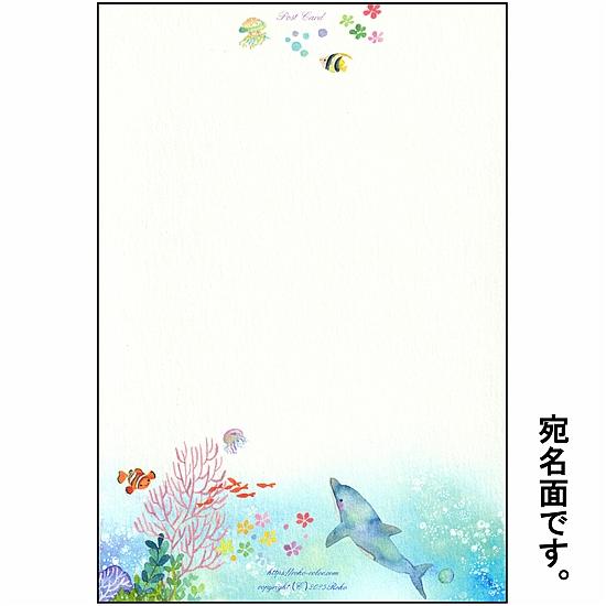 Roko ポストカード（イルカと珊瑚の夢）の画像