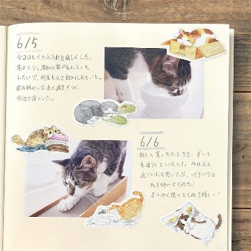 エヌビー社　フレークシール　ねころび（ねこあるある）の画像