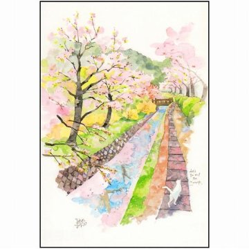 三好貴子 ポストカード（川沿い桜）画像