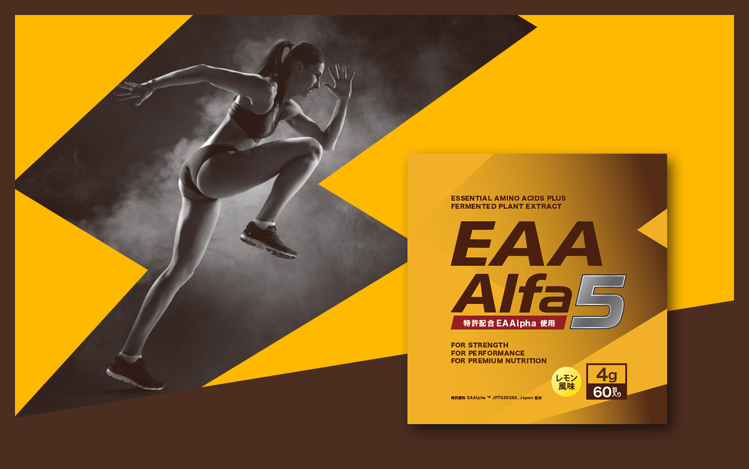 EAA Alfa5の画像