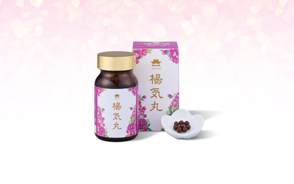 楊気丸 240丸の画像