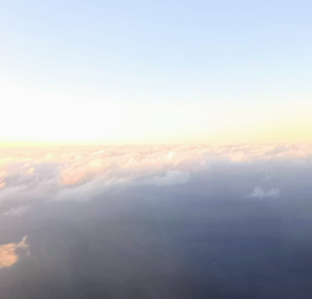 収穫トマトのサコッシュの画像