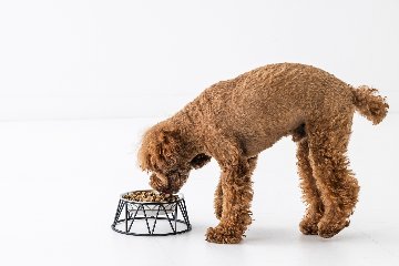 イヌグルマン お試し3食セットの画像