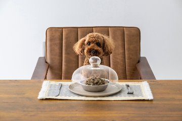 初回購入限定 イヌグルマンの画像