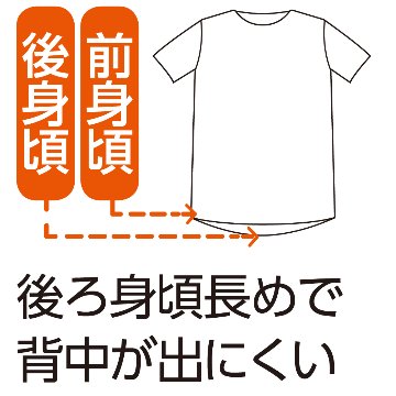 【婦人】8分袖インナー綿100％の画像