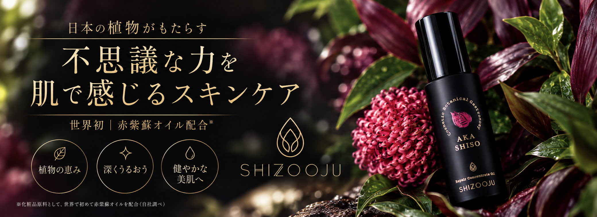 シズージュ