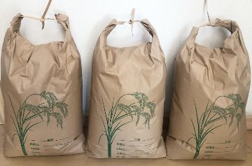 茨城県産コシヒカリ（玄米）10kg － 令和６年度産の画像