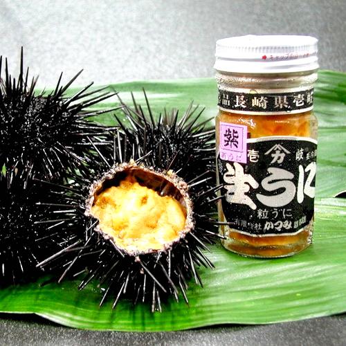 楽天市場】【ふるさと納税】【全6回定期便】数量限定！壱岐の生