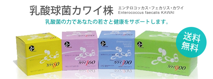 maruto.kawai900-shop