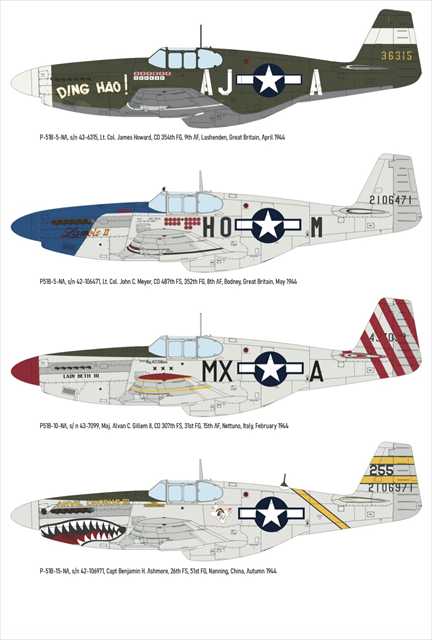 エデュアルド 1/48 ノースアメリカン P-51B/C バードケージキャノピー WE プラモデル ED84209の画像