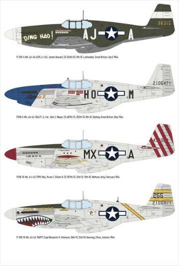 エデュアルド 1/48 ノースアメリカン P-51B/C バードケージキャノピー WE プラモデル ED84209の画像
