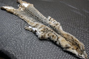 リンクスキャット原反　ナチュラルの画像