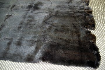 刈毛マスクラットプレート　ダークパープルの画像