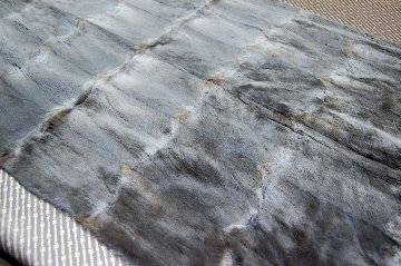 刈毛マスクラットプレート　グレーの画像