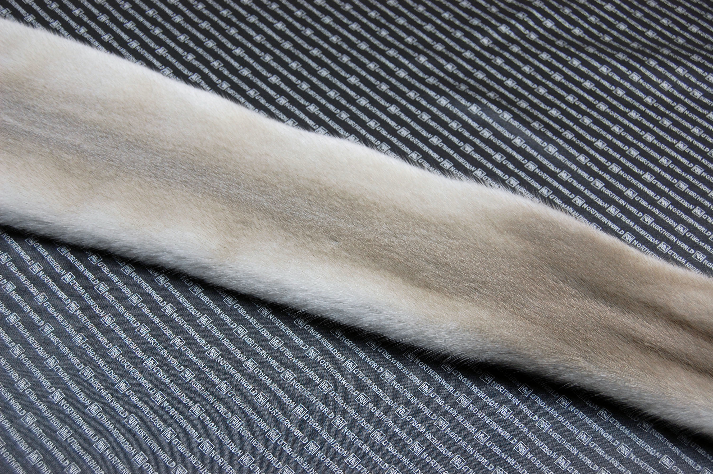 ミンク原反　プラチナブロンドの画像