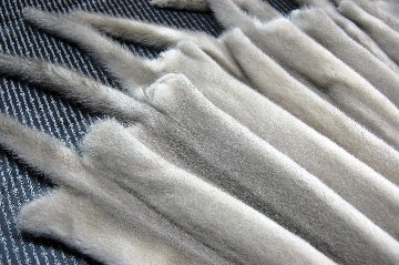 ミンク原反　プラチナブロンドの画像