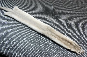 ミンク原反　プラチナブロンドの画像