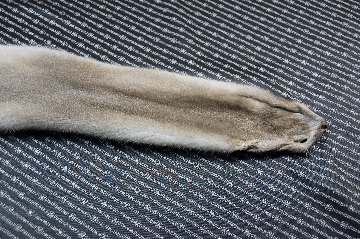 ミンク原反　プラチナブロンドの画像