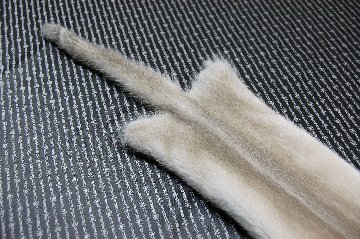 ミンク原反　プラチナブロンドの画像