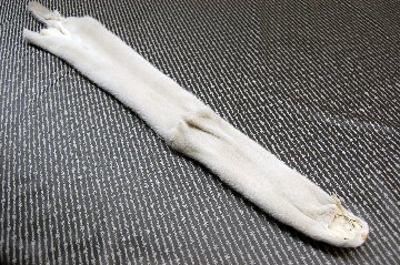 ミンク原反　パールブルーの画像