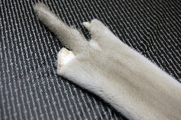 ミンク原反　パールブルーの画像
