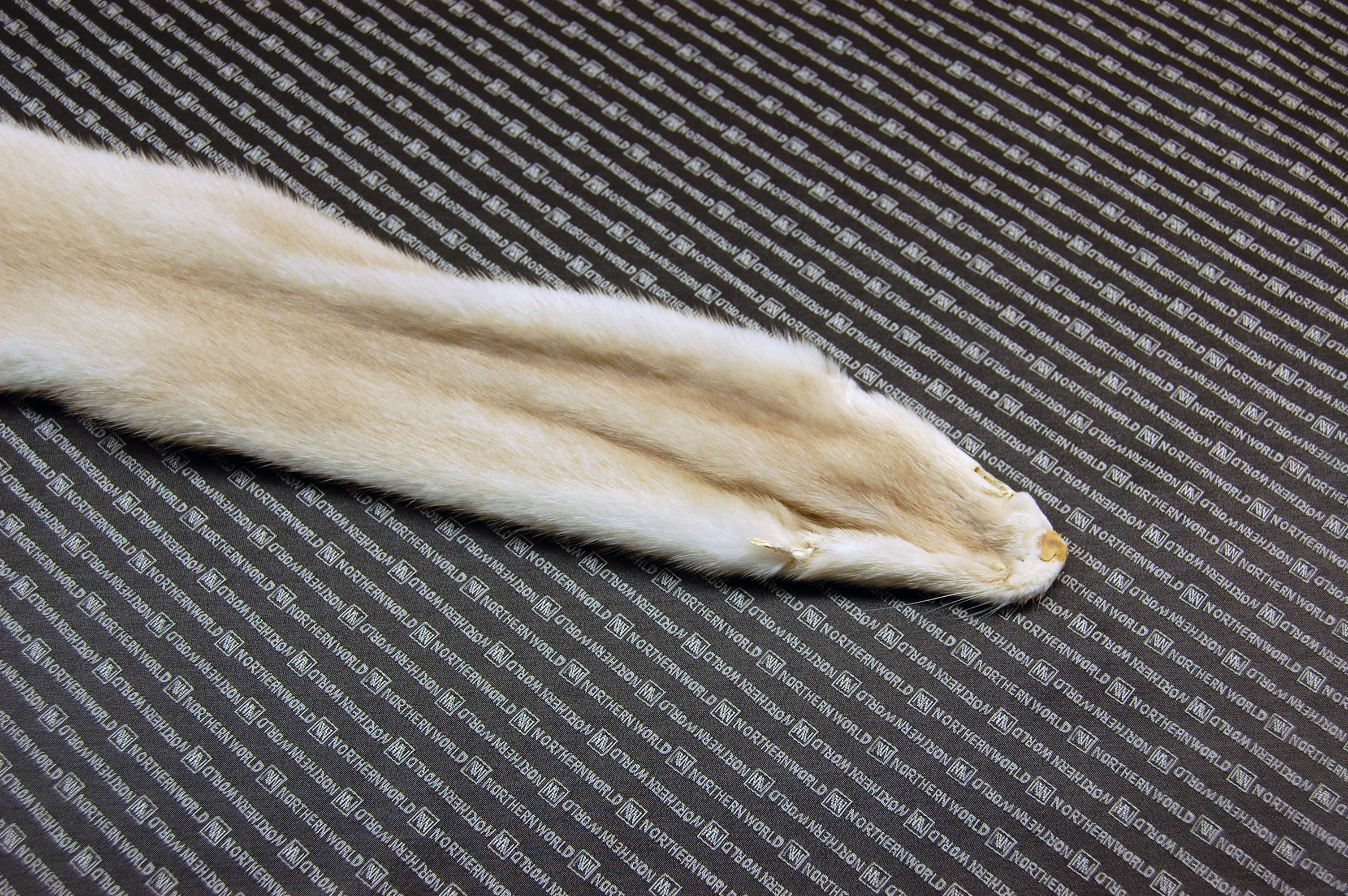 ミンク原反　ラベンダーの画像