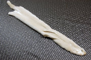ミンク原反　パロミノの画像