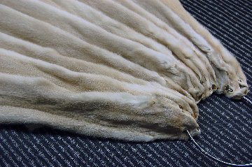 ミンク原反　パロミノの画像