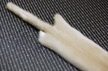 ミンク原反　パロミノの画像