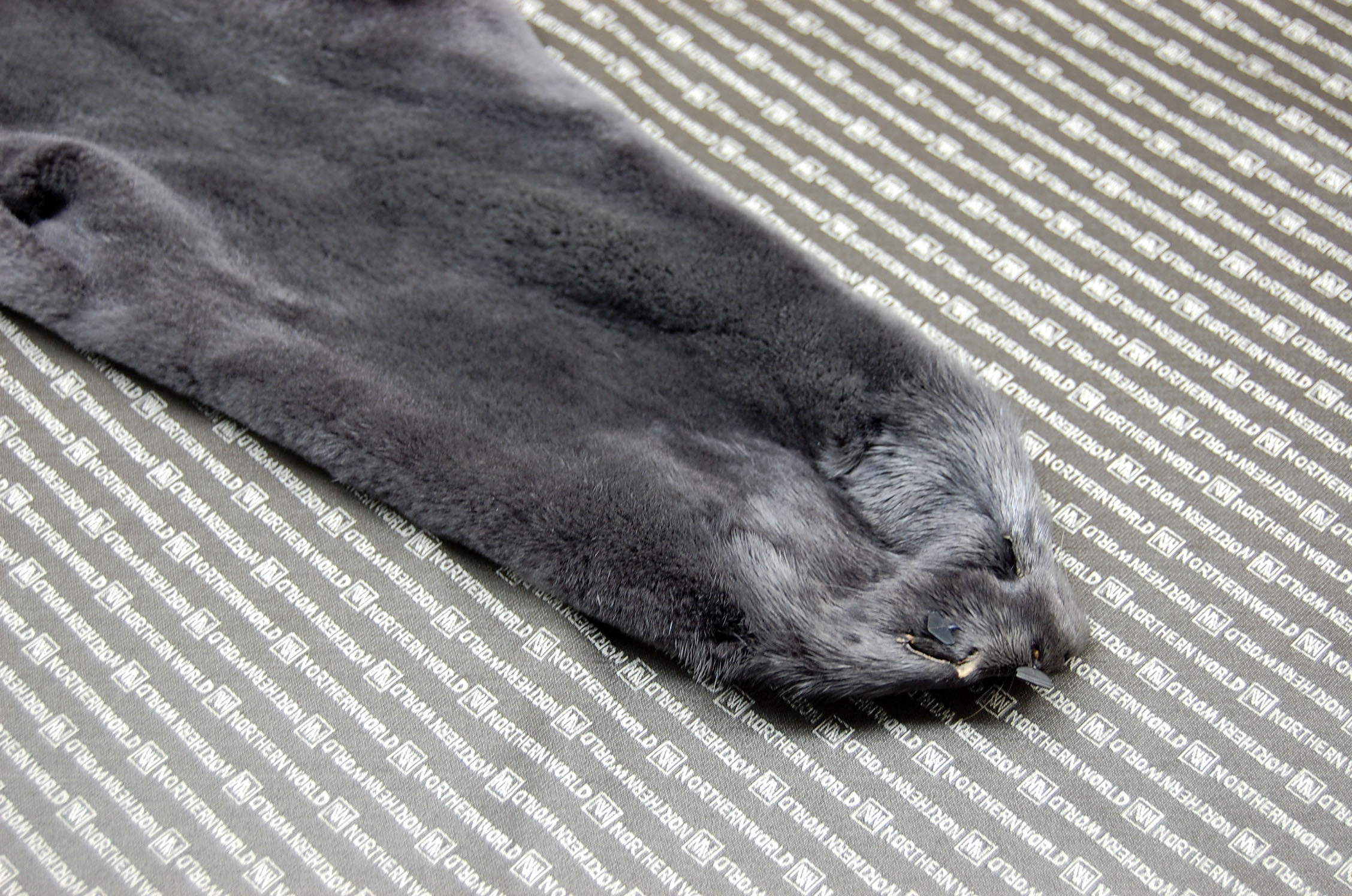 プラックトミンク原反　ダークグレーの画像